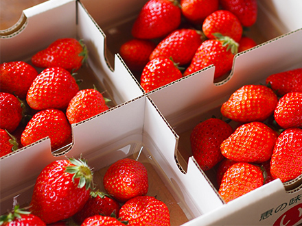 おおきベリーのこだわり